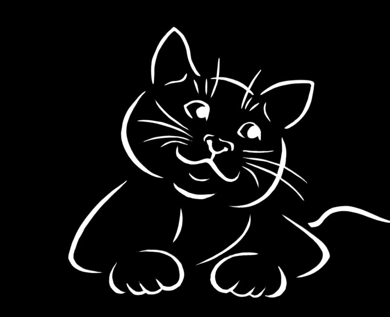 Kontur Katze Kontur Katze