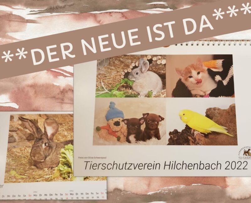 Kalender2022 Kalender2022