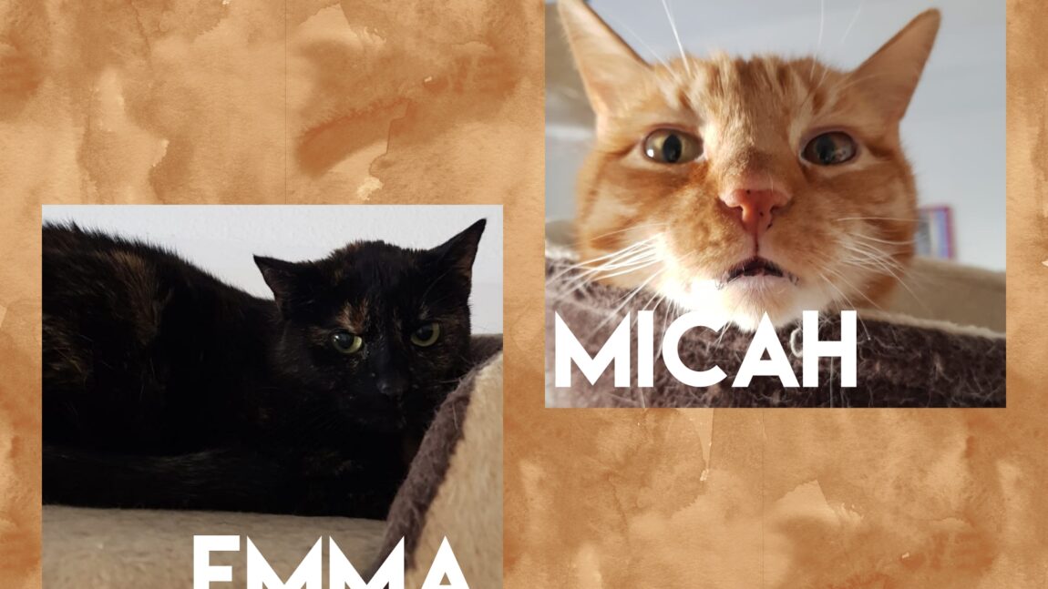 Micah & Emma