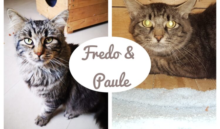 Fredo & Paule