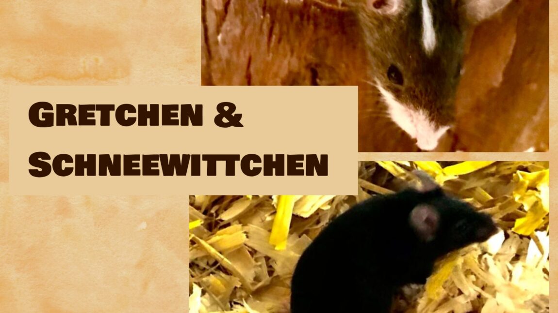 Schneewittchen & Gretchen