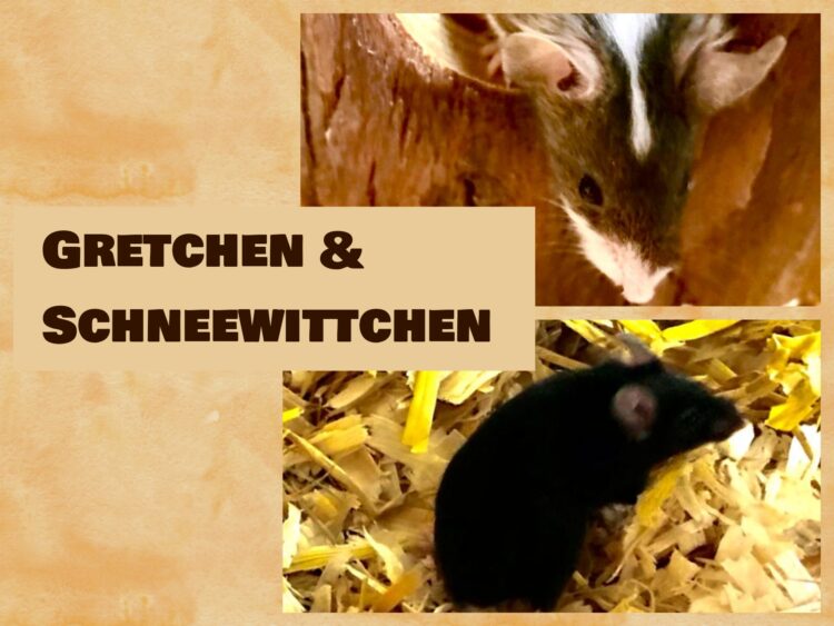 Schneewittchen & Gretchen