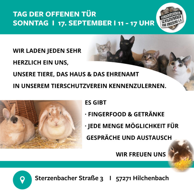Insta Quadratisch - Tag der offenen Tür Insta Quadratisch - Tag der offenen Tür