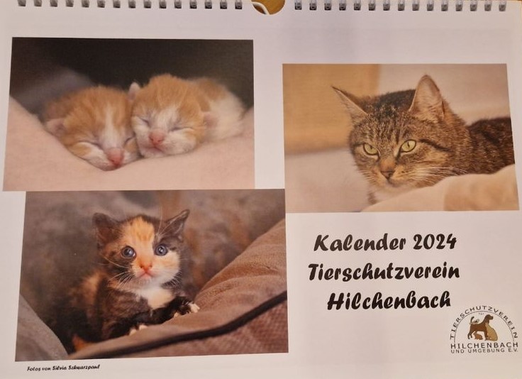Kalender Kalender