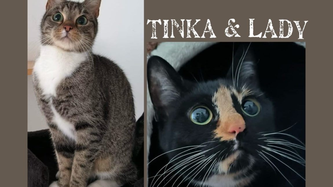 Lady & Tinka