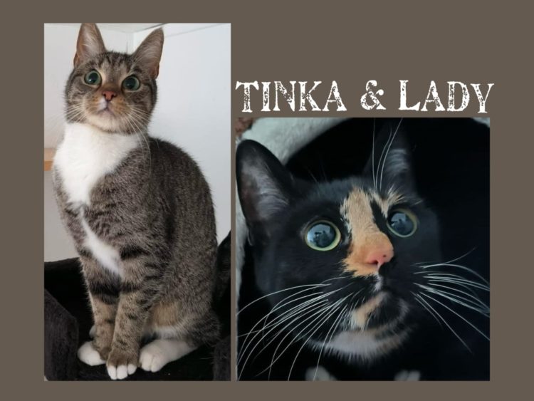 Lady & Tinka