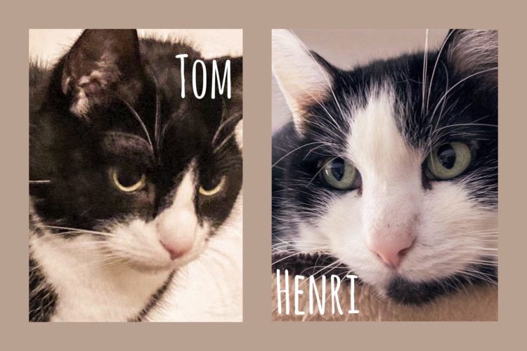 Tom & Henri