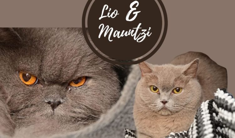 Mauntzi und Lio
