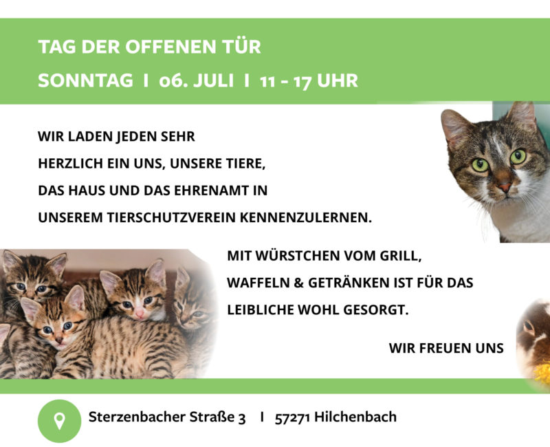 Webseite Rechteckig - TOT 2025_grün Webseite Rechteckig - TOT 2025_grün