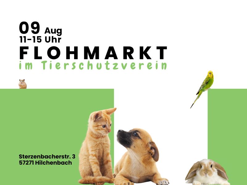Web TSV Flohmarkt (800 x 600 px) (1) Web TSV Flohmarkt (800 x 600 px) (1)