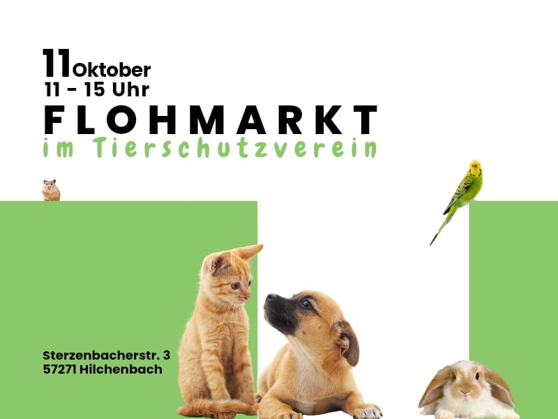 Web TSV Flohmarkt