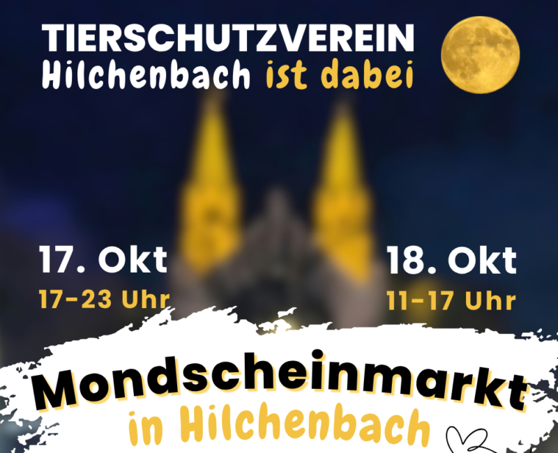 Mondscheinmarkt